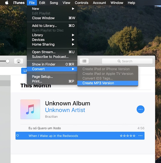 How to convert music song track audio file formats in iTunes on macOS and macOS - imaja.com