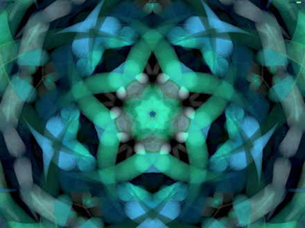 Astral Blossom screen saver imaja.com
