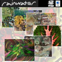 Rainwater CD-ROM